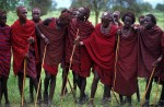 Photo d'illustration du reportage Avec les guerriers Masaï.