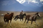 Photo d’illustration du reportage Patagonie argentine ; Terre de tous les extrêmes.