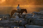 Photo d’illustration du reportage Uruguay, des gauchos dans la pampa.