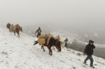 Photo d'illustration du reportage Aventuriers et missionnaires : une caravane en Himalaya.