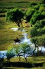 Photo : As_Mng_023