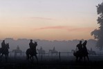 Photo d'illustration du reportage Chevaux de course à l'entraînement.