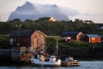 Photo d'illustration du reportage Au royaume des eiders.